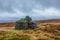 A scenic view of a stony mountain shelter in ruin surrounded with grass and bog under a grey sky