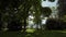 Scenic view of sunlit Tegernsee lake embankment from shady park with green trees