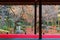 Scenic view from a tatami room by a Japanese courtyard garden with colorful maple trees & fallen leaves