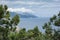 Scenic view through the thuja branches to the Ayu-Dag mountain