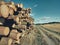 scenic view of timber pile on field against sky