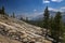 Scenic view of the Tioga Pass with the Tenaya Lake on the background, at the Yosemite National Park