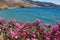 Scenic view of the Told beach surrounded with mountains and flowers in the foreground in Symi island