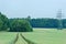 Scenic view tractor tracks in plantation of cereal plants and high voltage towers, electricity pylons in the distant