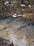 Scenic view of a tranquil creek in a dry forest with patches of snow