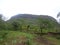 Scenic view of trees landscapes and mountains greenery