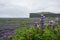 Scenic view of a vast field of purple wildflowers in the foreground. Iceland.