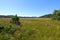 A scenic view of a vast meadow within the forests of Cape scott provincial park.