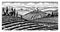 Scenic view of vineyards. Fields and hills of Tuscany. Panoramic vine plantation in Chianti. French or Italian engraved