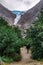 Scenic view on walking senior man, Briksdal glacier, forest and Norwegian mountains against cloudy dramatic sky