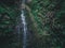 Scenic view of a waterfall cascading down the jungles in Levada in Madeira, Portugal