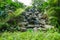 Scenic view of the waterfall view in the rainforest.