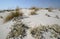 Scenic view of wild coastline of Maremma in southern Tuscany with its typical sand dunes