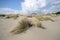 Scenic view of wild coastline of Maremma in southern Tuscany with its typical sand dunes