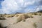 Scenic view of wild coastline of Maremma in southern Tuscany with its typical sand dunes