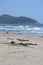 Scenic view of wild coastline of Maremma in southern Tuscany with its typical sand dunes