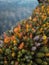 Scenic view of a winding road lined with trees of various autumnal colors near the lake