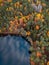 Scenic view of a winding road lined with trees of various autumnal colors near the lake