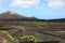 Scenic view of Wine-growing in La Geria on the volcanic island of Lanzarote, Canary Islands, Spain, Europe