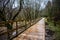 Scenic view of wooden path in Glendalough in rainy day of Autumn and winter