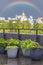 Scenic view of Yekaterinburg with a rainbow after a thunderstorm