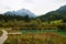 Scenic view of Zelenci nature reserve in Slovenia