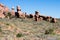 Scenic views along the Devils Garden trail in Arches National Park