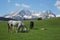 Scenic views in Durmitor national park, Montenegro