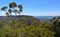 Scenic views of Narrowneck plateau