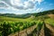 Scenic Vineyard Landscape Under Blue Sky, AI Generated