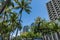 Scenic Waikiki Beach street vista, Honolulu, Oahu