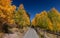 Scenic walking trail in Payson lakes recreation area in Utah