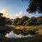 Scenic water pond in African savannah landscape, South Africa made with Generative AI