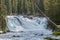 Scenic Waterfall Amidst Forest in Yellowstone National Park