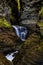 Scenic Waterfall in Autumn - Minnehaha Falls - Watkins Glen State Park - Watkins Glen, New York