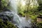 Scenic waterfall in the forest