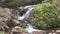 Scenic Waterfall Near Hana Maui