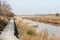 Scenic wetland landsape of nature reserve of river mouth Isonzo