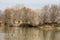 Scenic wetland landsape of nature reserve of river mouth Isonzo