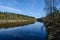 scenic wetlands with country lake or river in summer