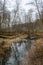 scenic wetlands with country lake or river in winter