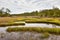 Scenic Wetlands near Emerald Isle, North Carolina