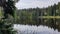 Scenic wide shot of the lake in the forest of Fichtelberg, Germany