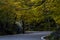 Scenic Winding Road - Autumn / Fall Colors - Smugglers Notch - Vermont