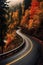 scenic winding road through a fall forest