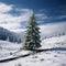 Scenic winter beauty captured with a lone fir tree amidst snow