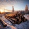 Scenic winter forest Sunset, pile of pine logs background