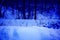 Scenic winter landscape in blue tones, mysterious forest glade with snowy hills