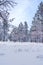 Scenic winter landscape featuring a snow-covered field surrounded by trees. Flagstaff, Arizona.