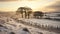 Scenic Winter Landscape: Six Trees In A Snow Covered Field